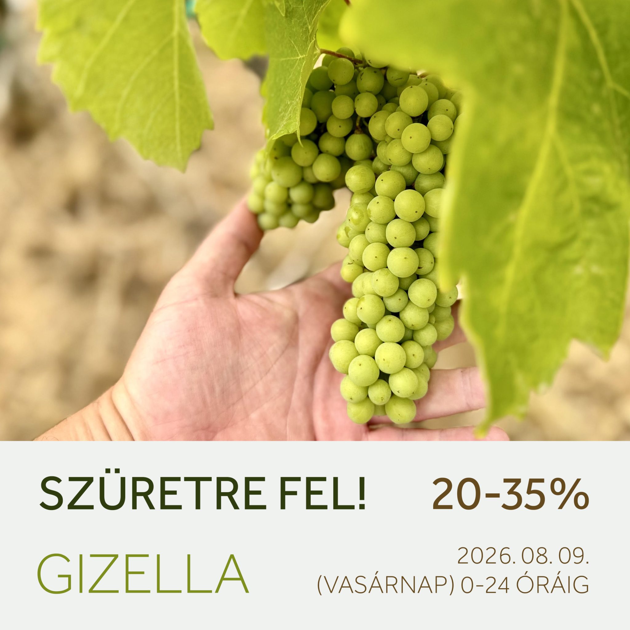 Szuretre_fel_fly_2