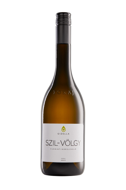 Gizella_Szilvolgy_Furmint_Harslevelu_2023