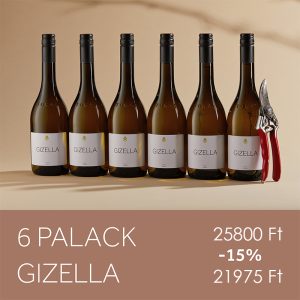 Gizella-csomag-2024-Bí-sfw_new